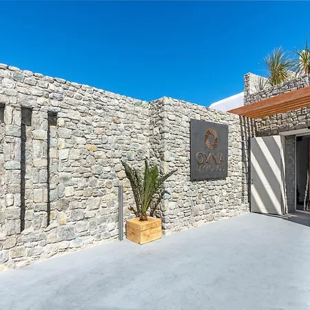 Hotel Omnia Mykonos Boutique & Ornos (Mykonos)