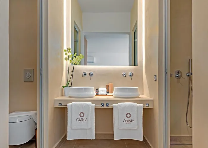 Otel Omnia Mykonos Boutique & Ornos (Mykonos)