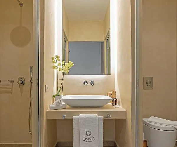 Omnia Mykonos Boutique & Ornos (Mykonos)