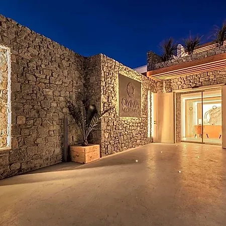 호텔 Omnia Mykonos Boutique &