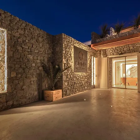 فندق Omnia Mykonos Boutique & أورنوس