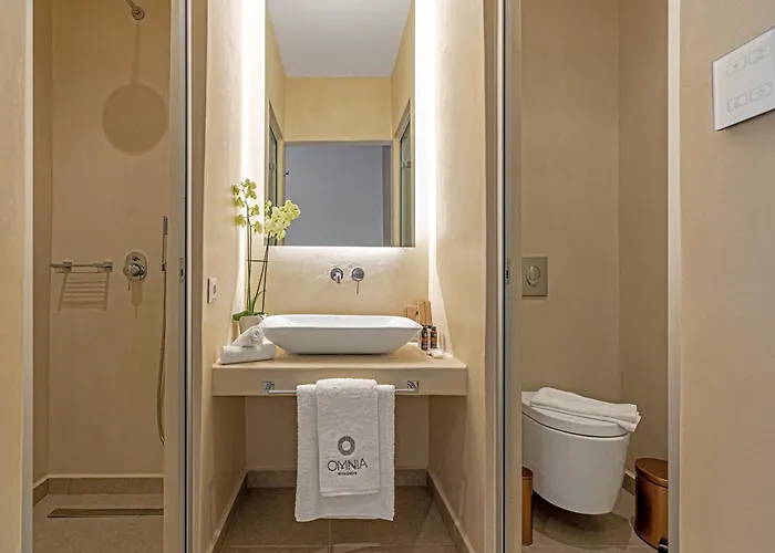 Omnia Mykonos Boutique & מלון 4*