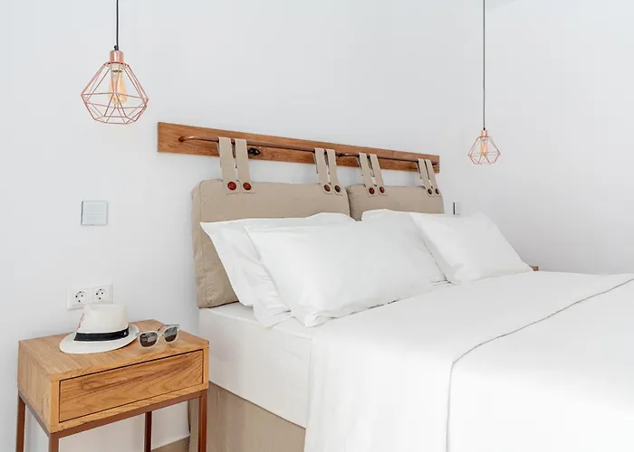 Omnia Mykonos Boutique & 4* אורנוס