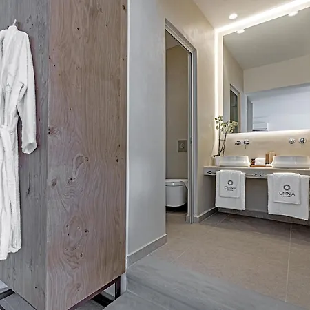 Ξενοδοχείο Omnia Mykonos Boutique &